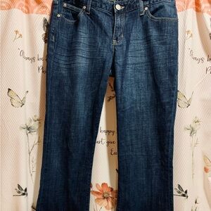 GAP Indigo Denim CURVY Flare Boot Cut Jeans with Silver Button